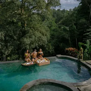 Dedari Indonesia